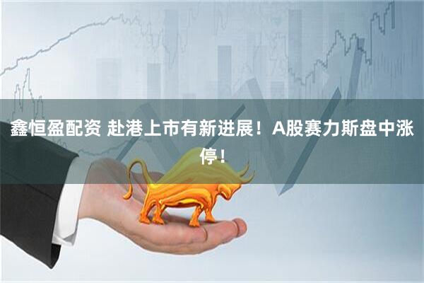 鑫恒盈配资 赴港上市有新进展！A股赛力斯盘中涨停！