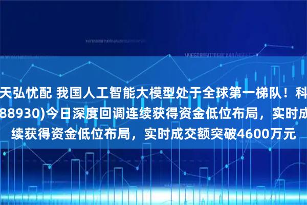 天弘忧配 我国人工智能大模型处于全球第一梯队！科创板人工智能ETF(588930)今日深度回调连续获得资金低位布局，实时成交额突破4600万元