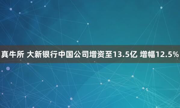 真牛所 大新银行中国公司增资至13.5亿 增幅12.5%