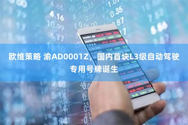 欧维策略 渝AD0001Z，国内首块L3级自动驾驶专用号牌诞生