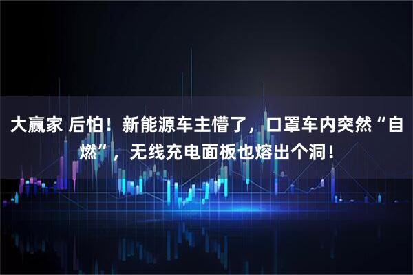大赢家 后怕！新能源车主懵了，口罩车内突然“自燃”，无线充电面板也熔出个洞！
